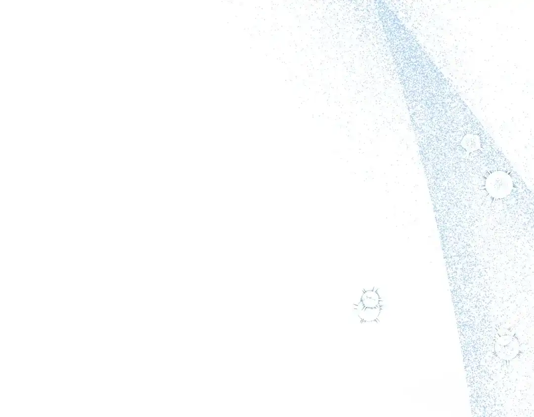 第285页