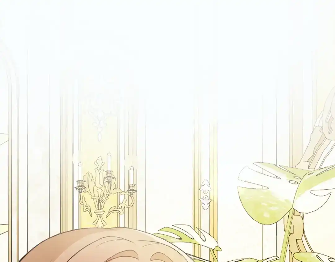 第297页