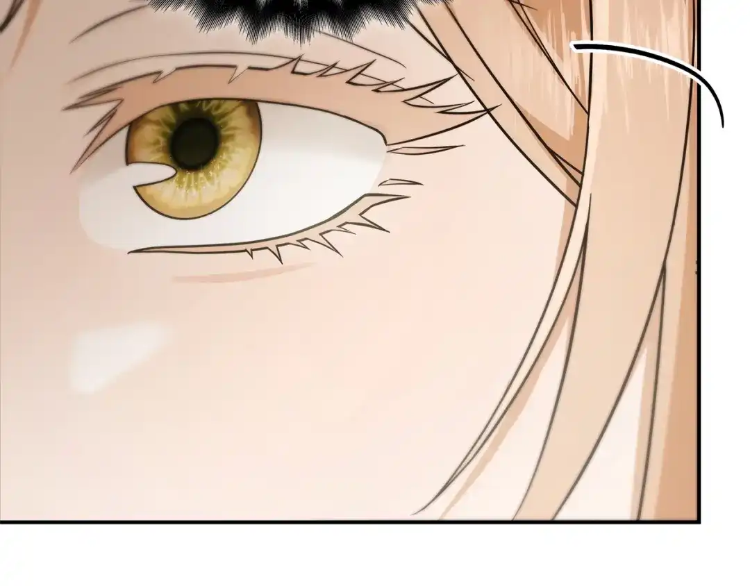 第240页