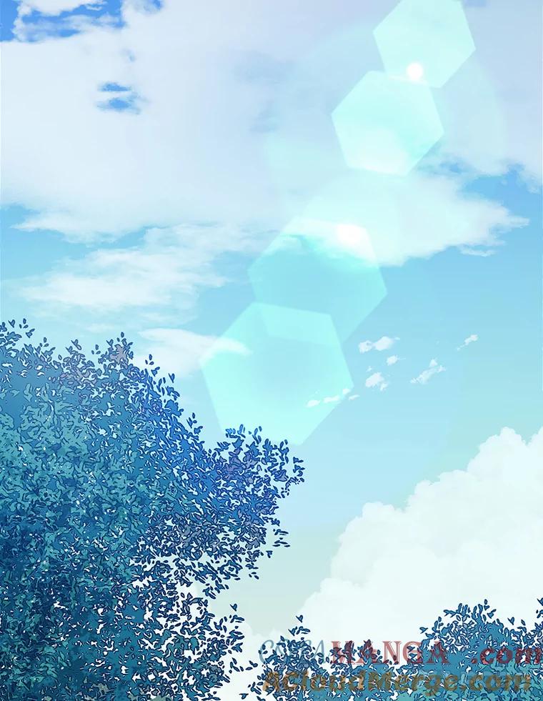 第229页