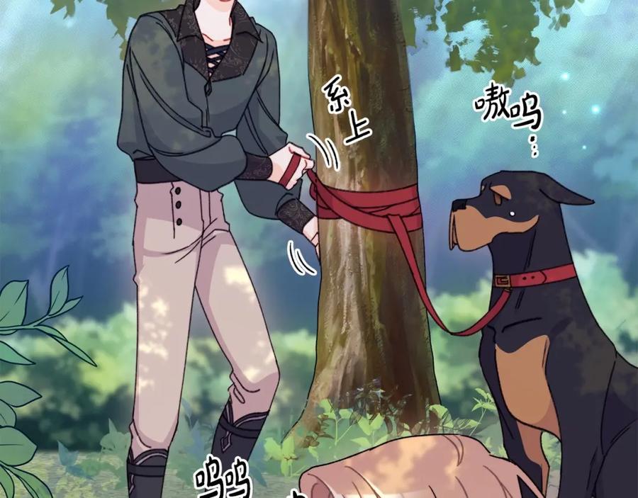 第146页