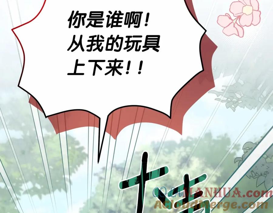 第213页