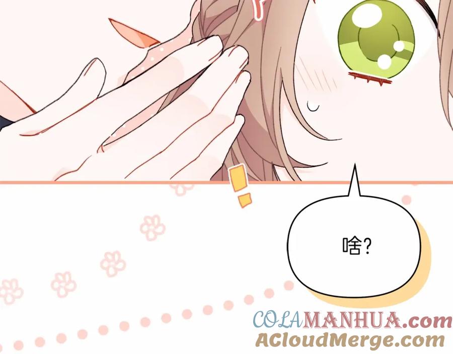 第205页