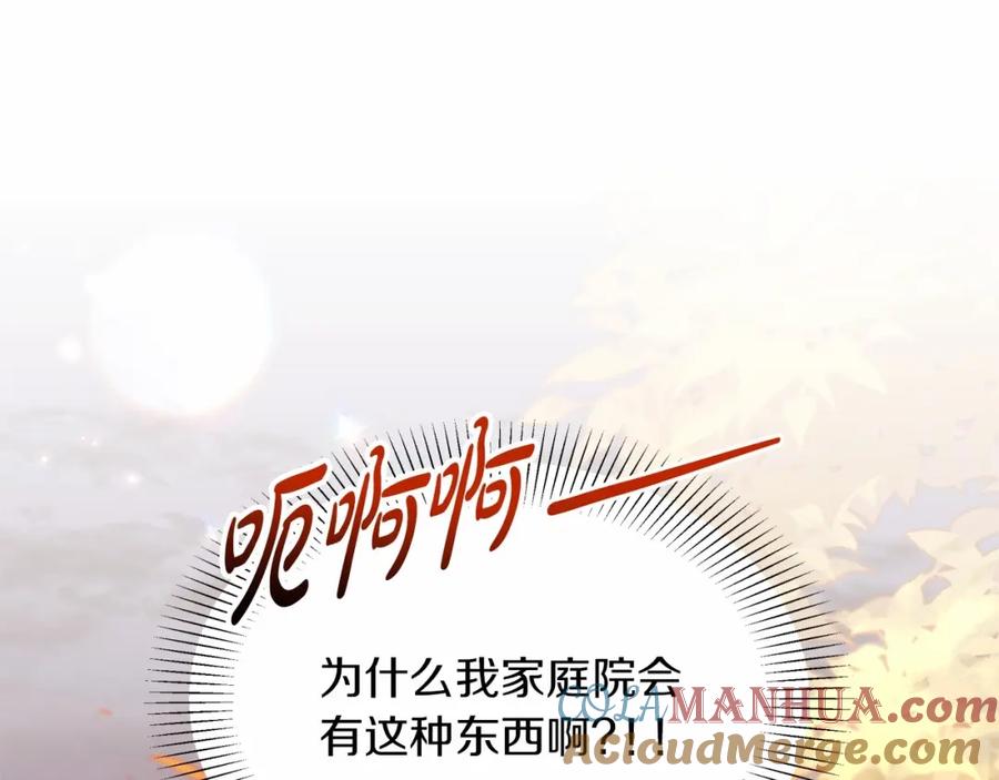 第233页