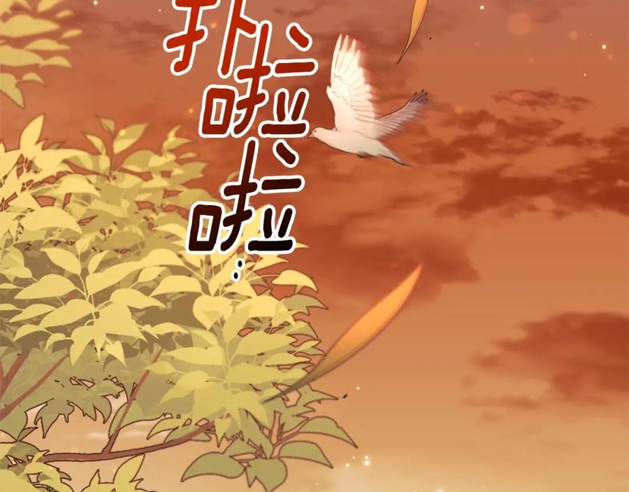 第235页