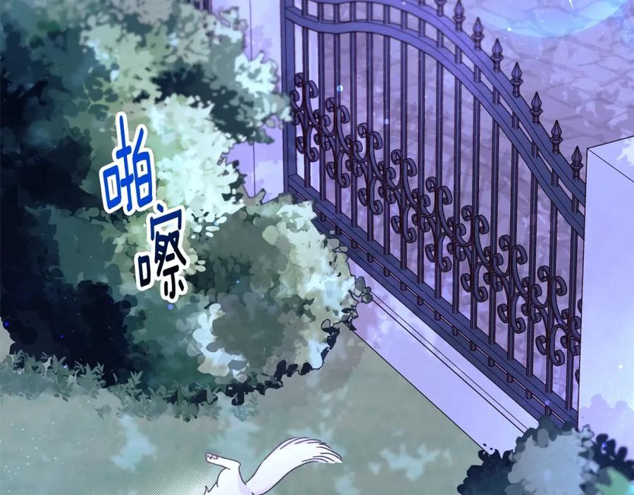 第206页