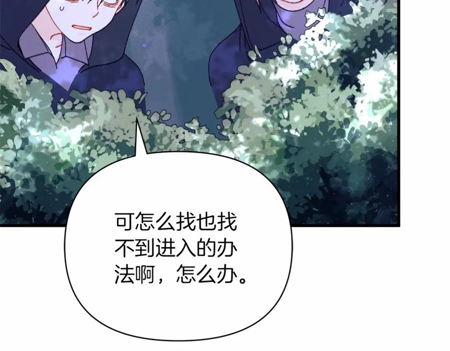 第216页