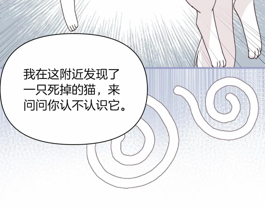 第231页
