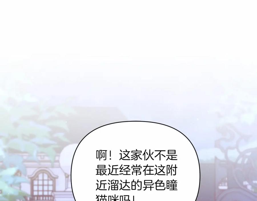 第232页