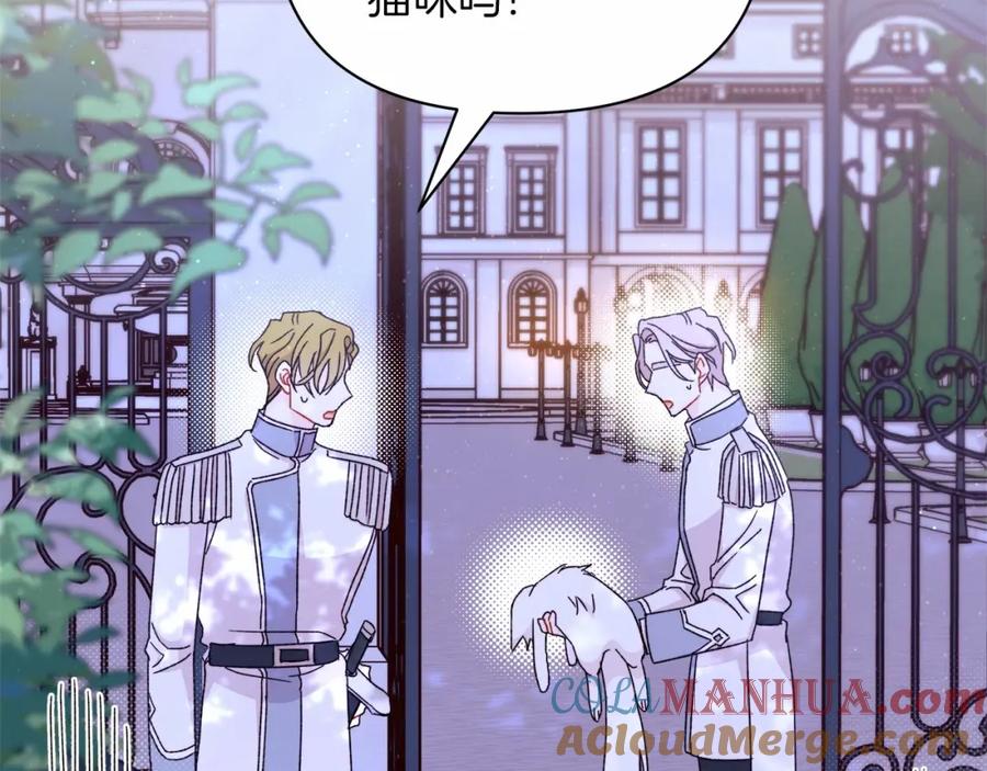第233页
