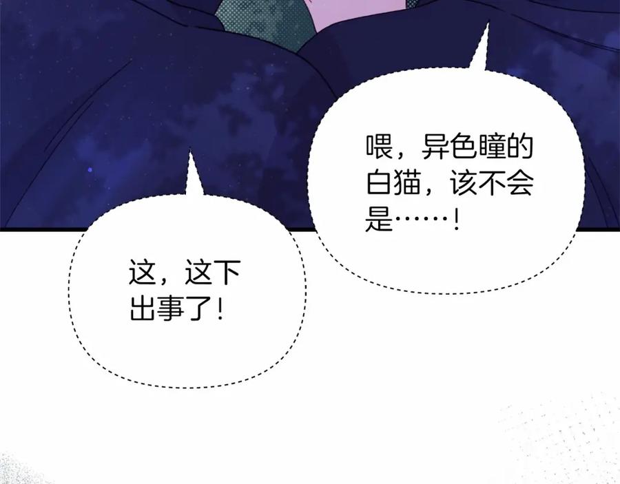 第235页