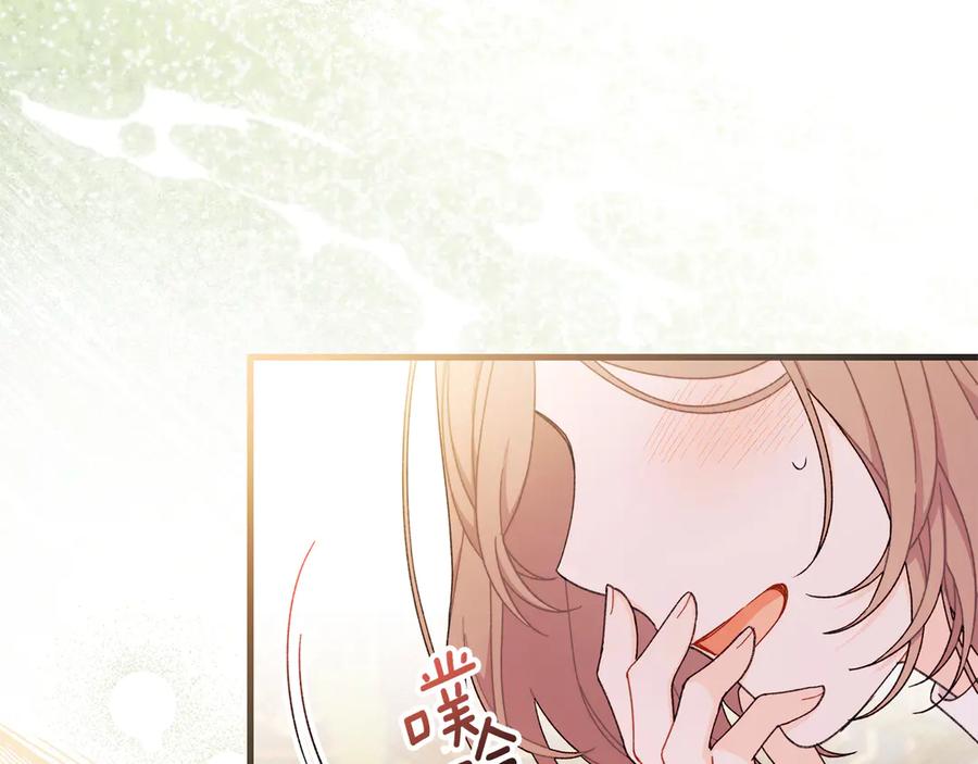 第206页