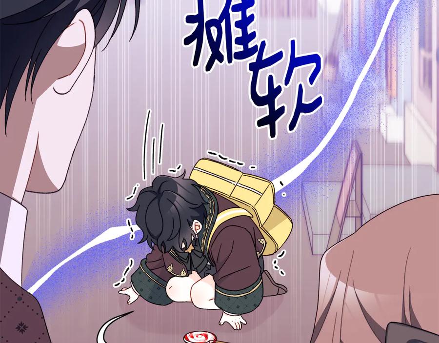 第204页