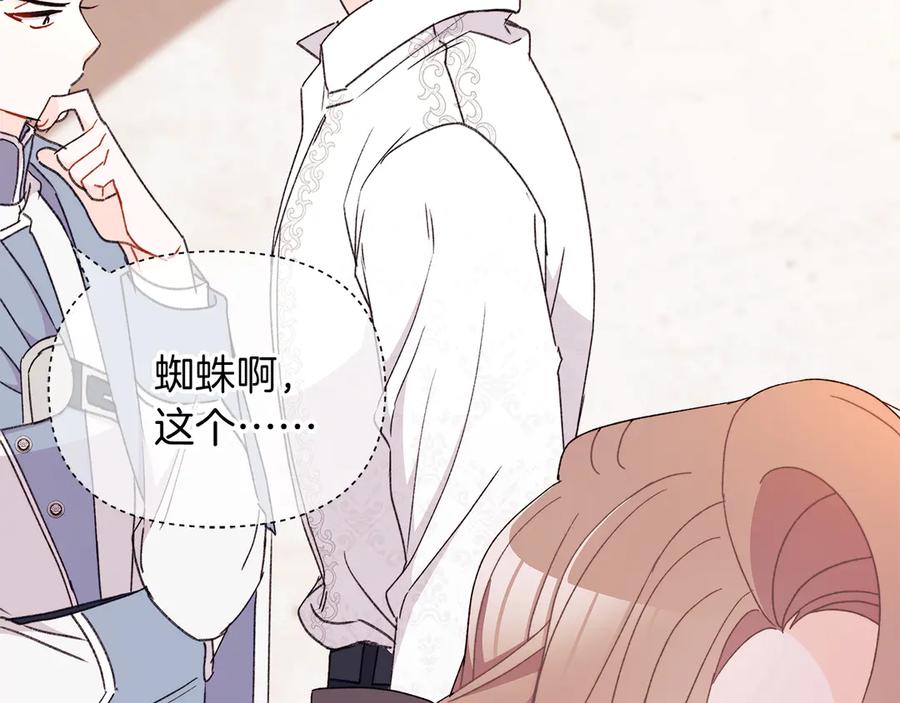 第204页