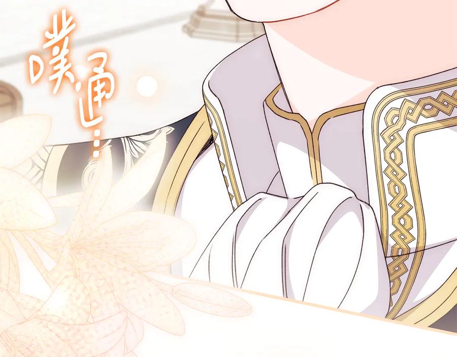 第204页