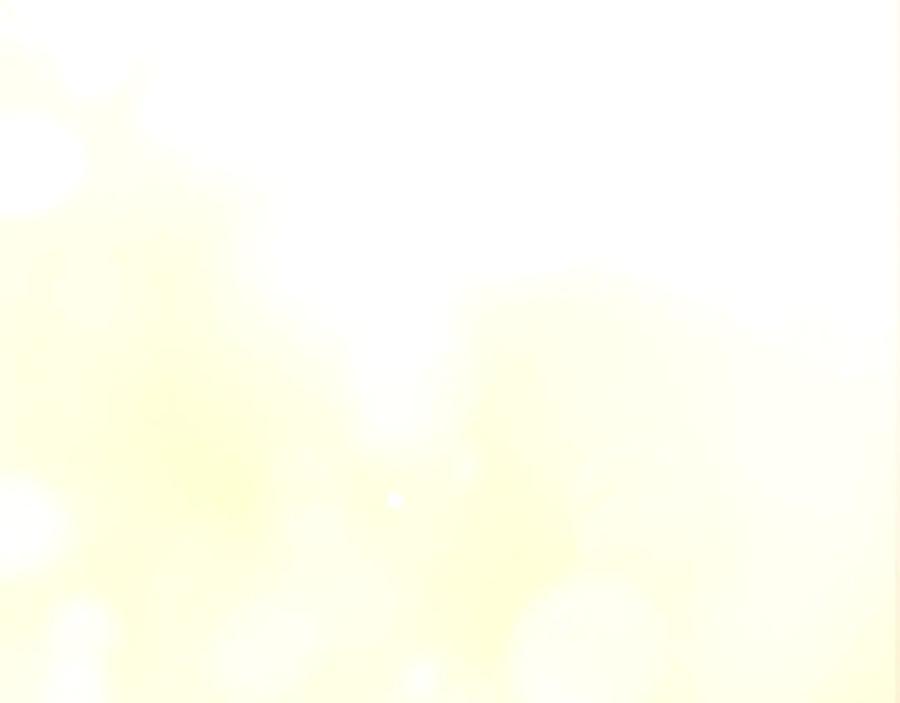 第262页