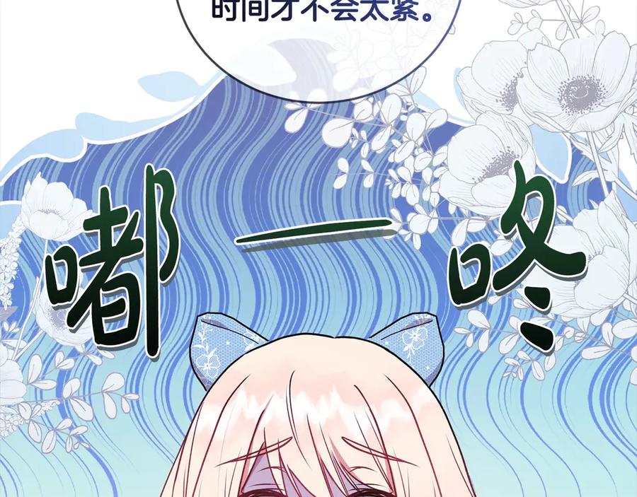 第204页