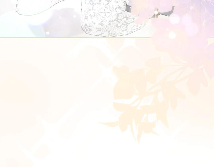 第223页