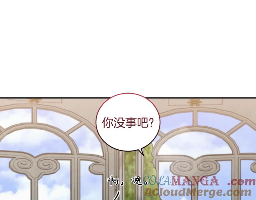 第217页