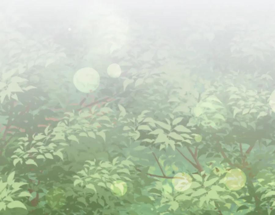 第186页