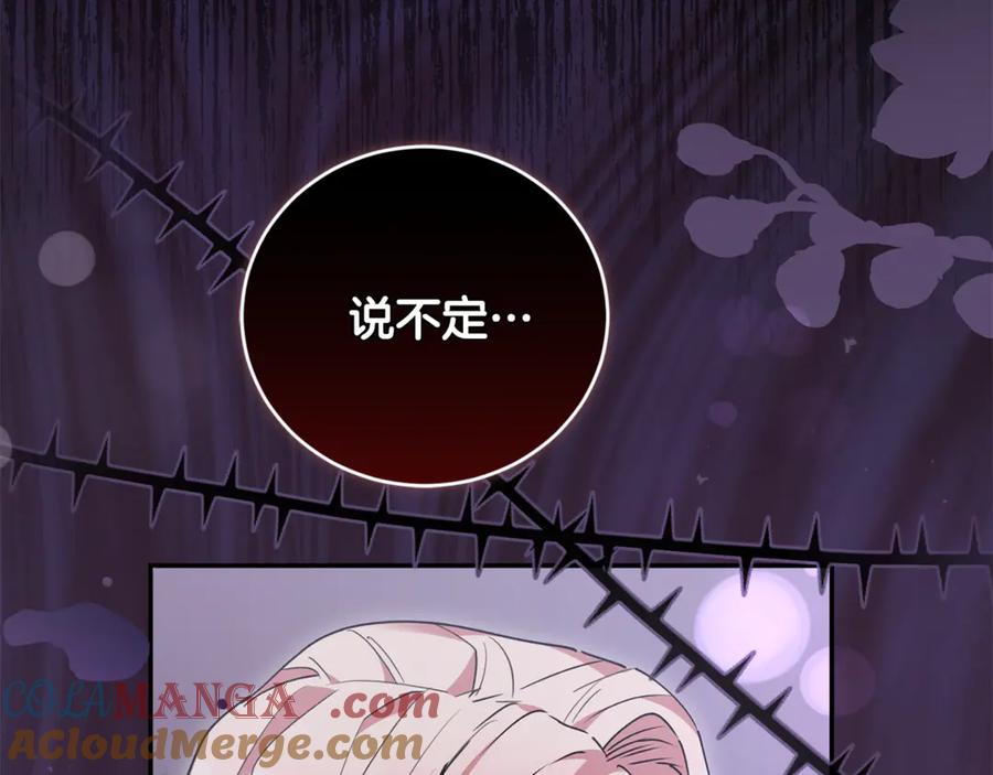 第217页