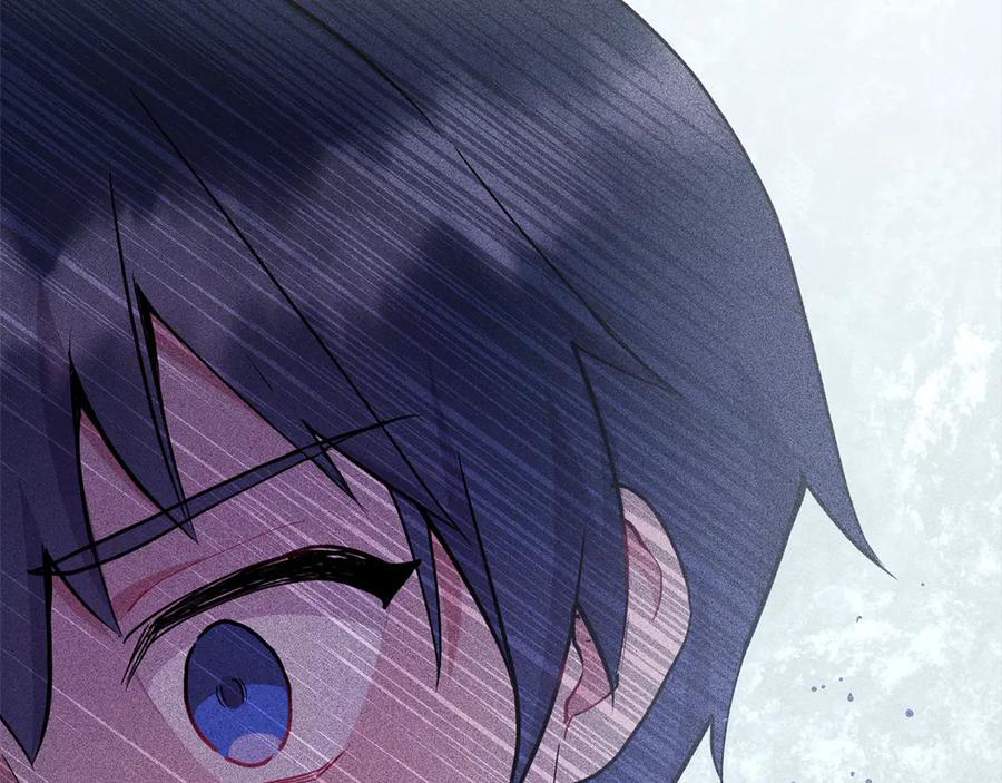 第223页