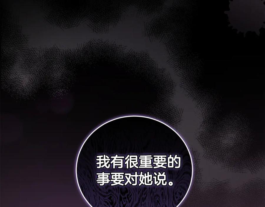 第223页
