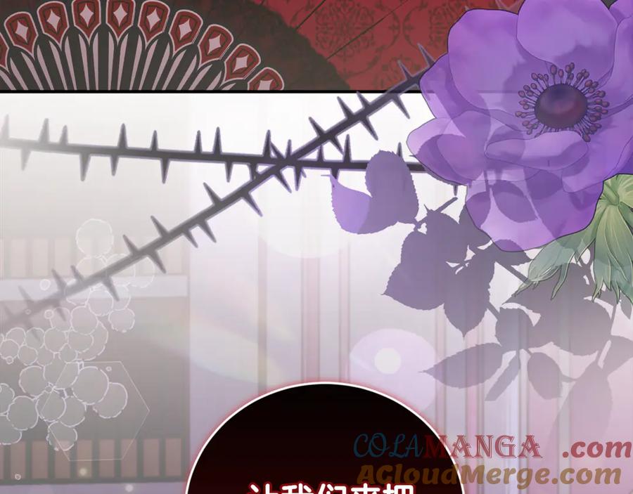 第217页