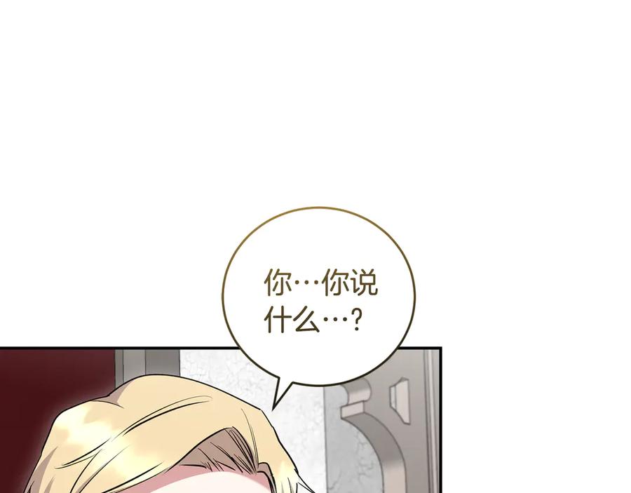 第223页
