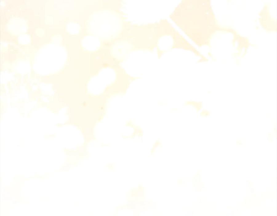 第242页