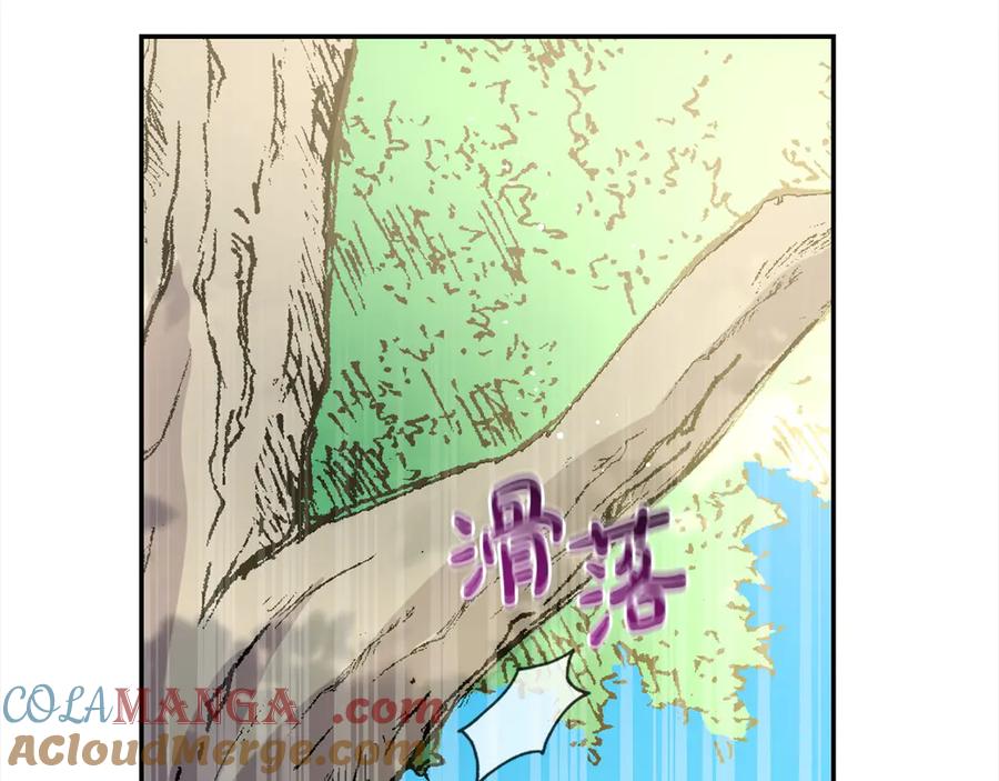 第213页