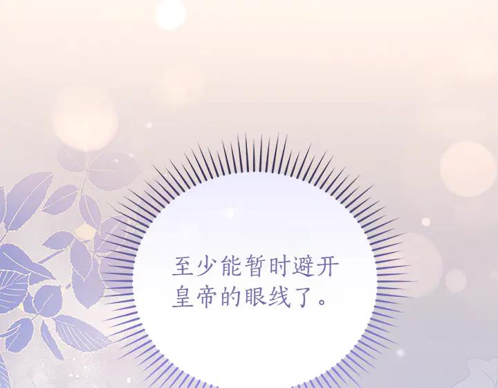 第216页