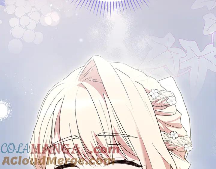 第217页