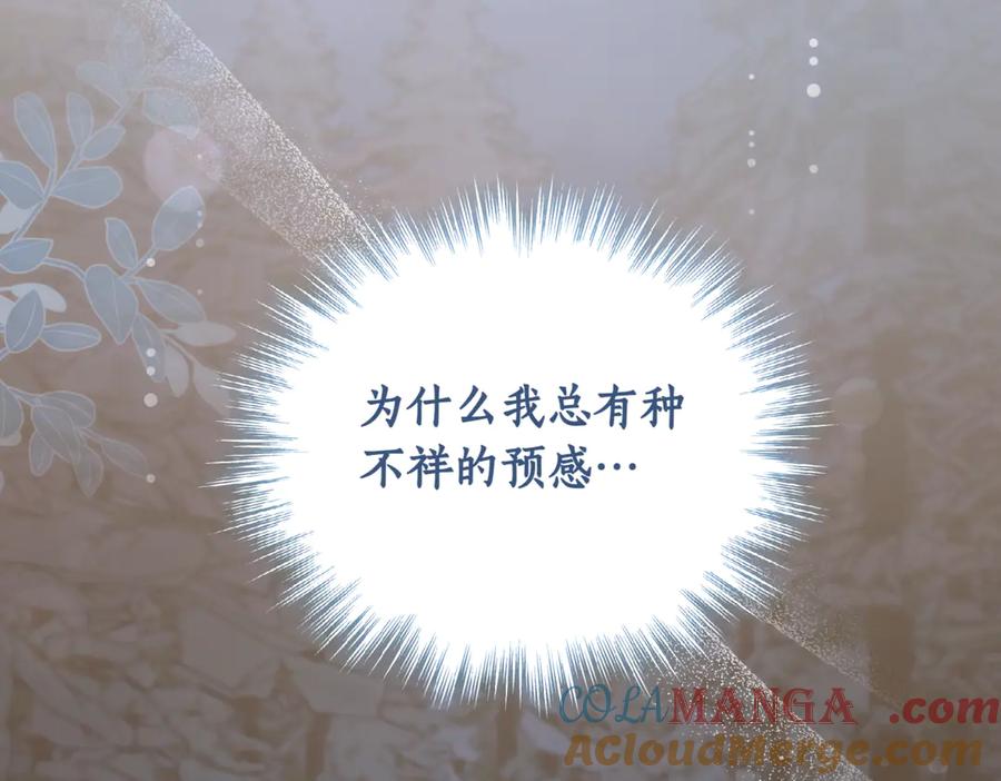 第221页
