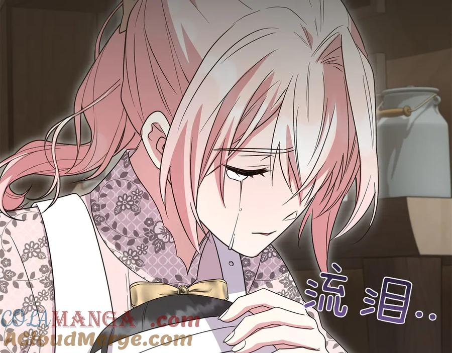 第245页