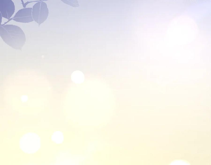 第259页