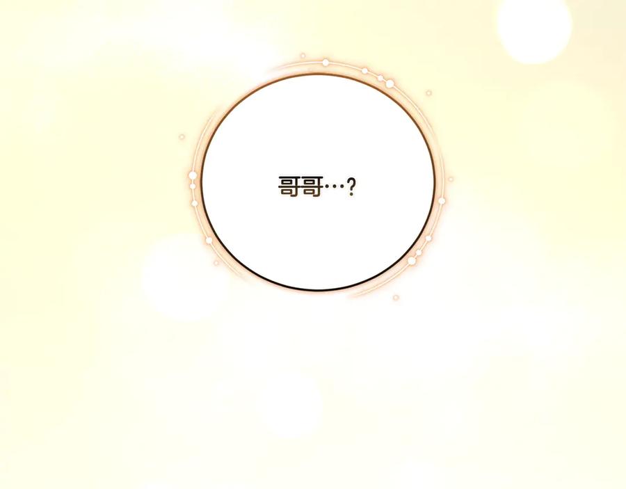 第260页