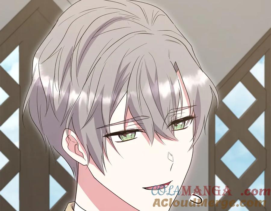 第213页