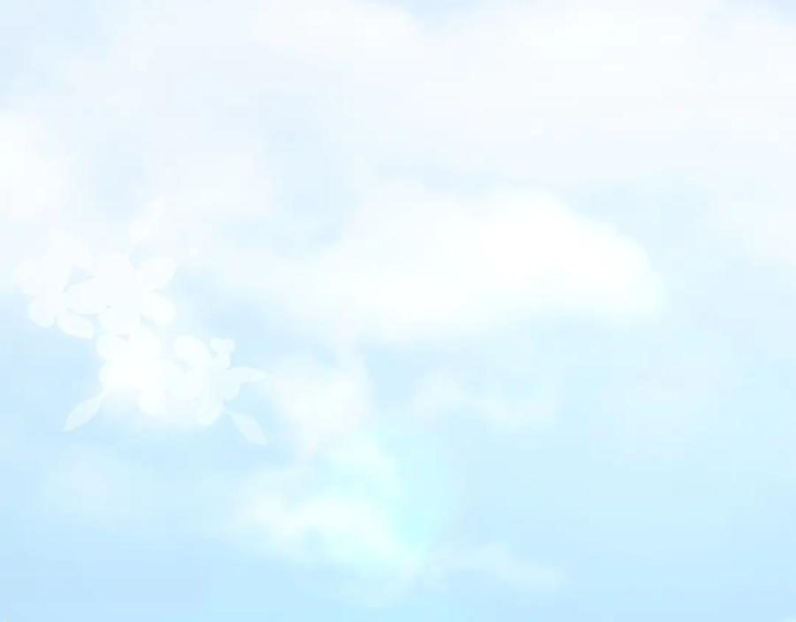 第250页
