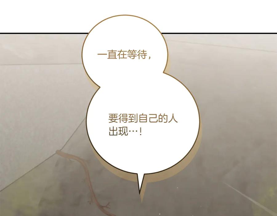 第215页