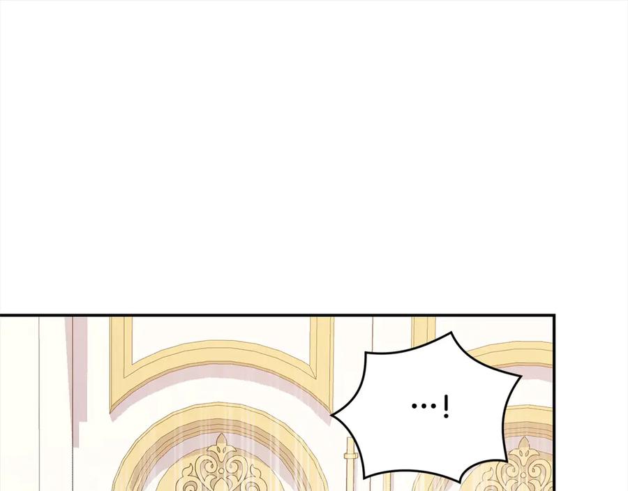 第236页