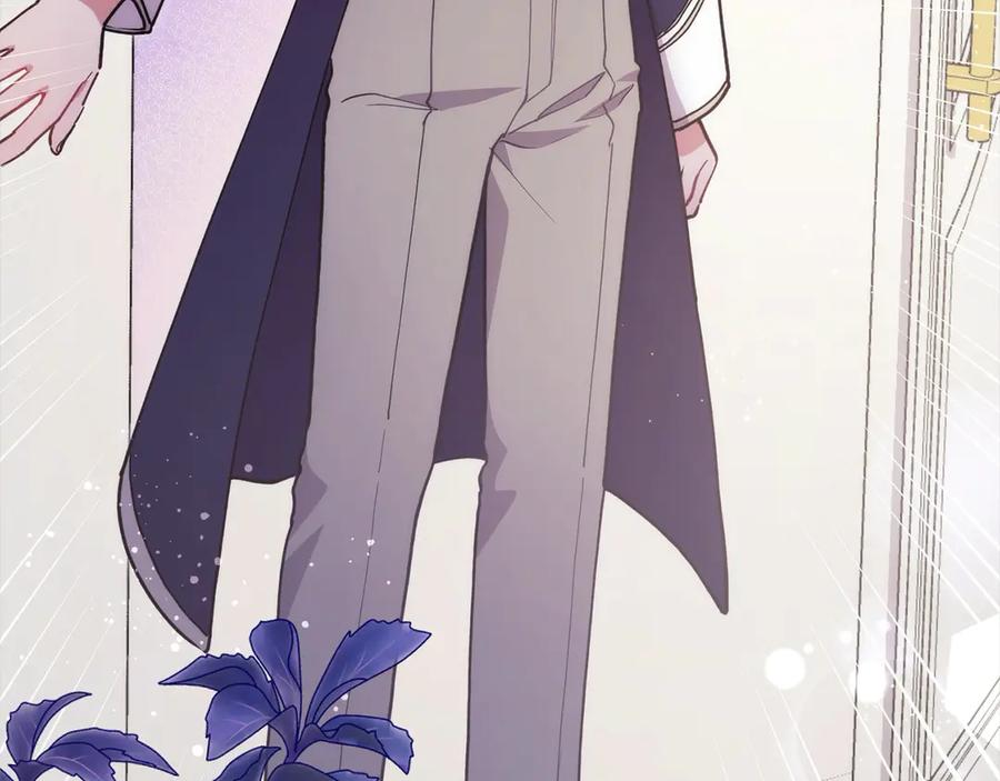 第242页
