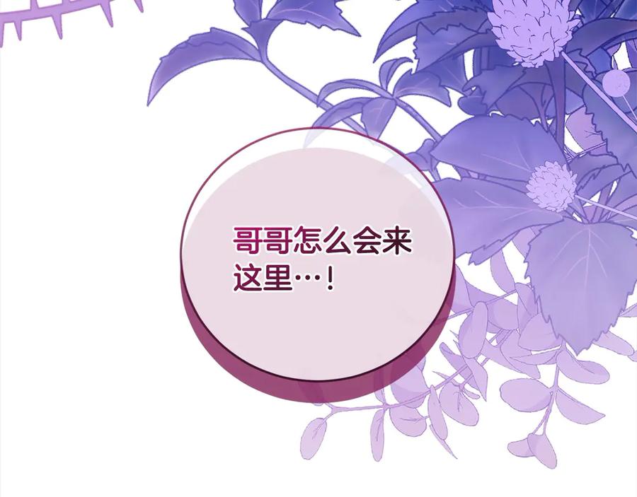 第244页