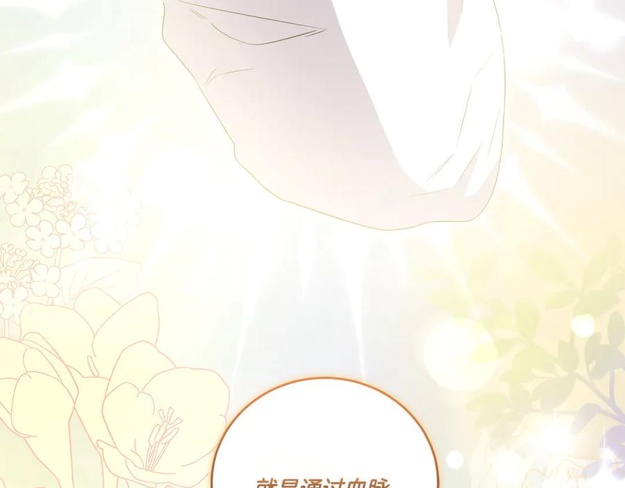 第234页