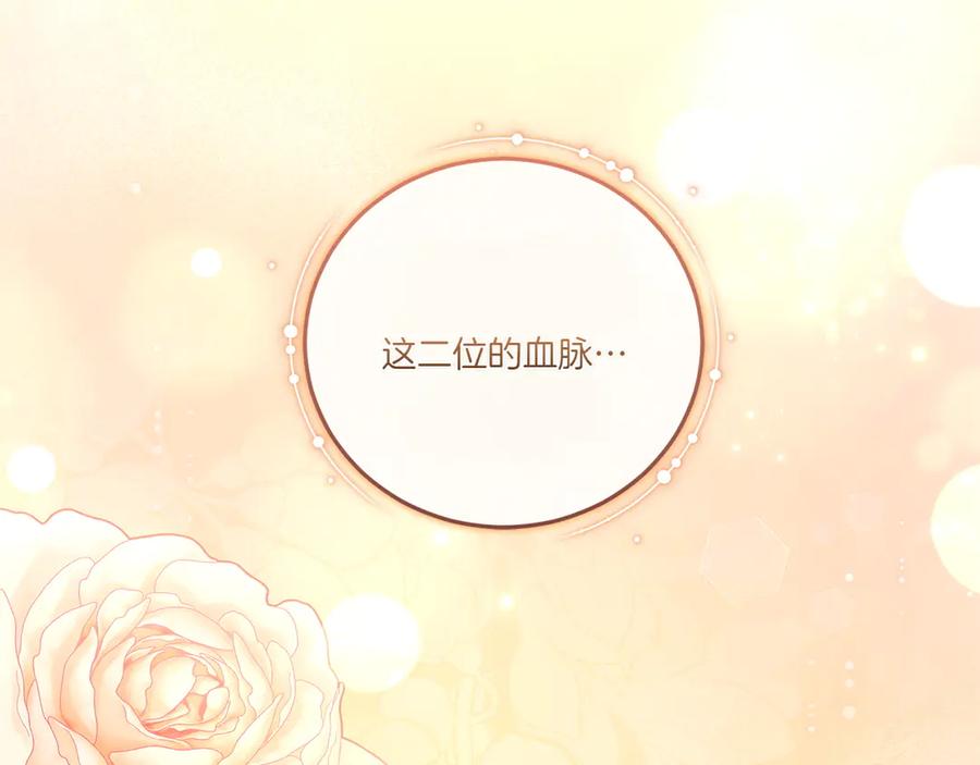 第239页