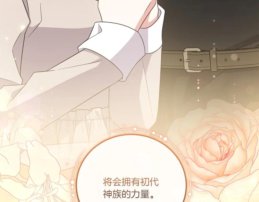 第242页