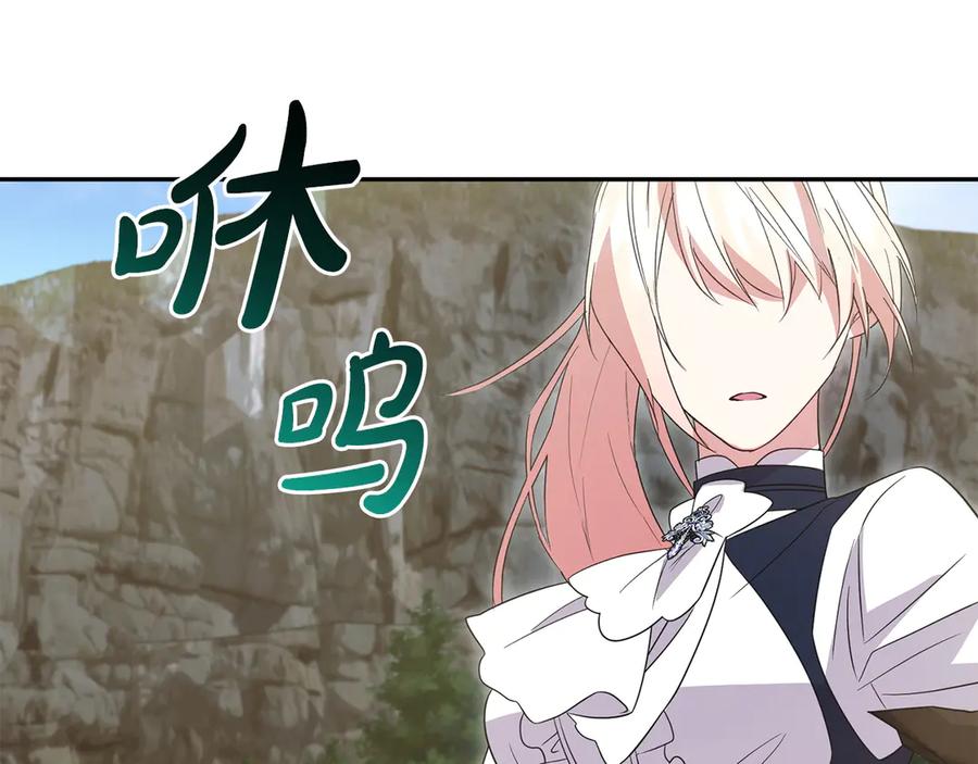 第204页
