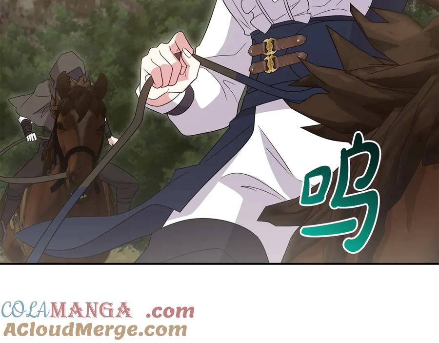 第205页