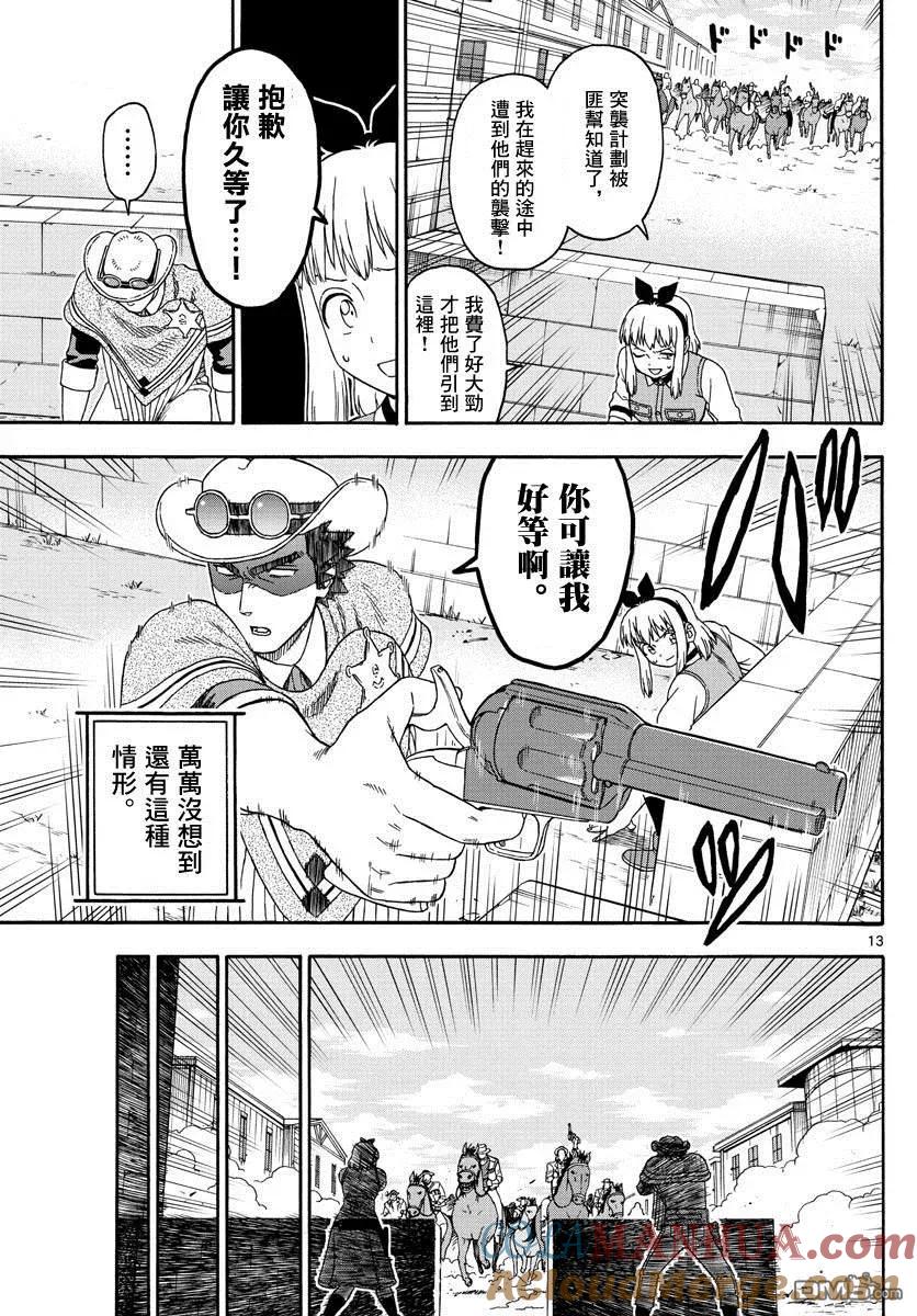 第13页