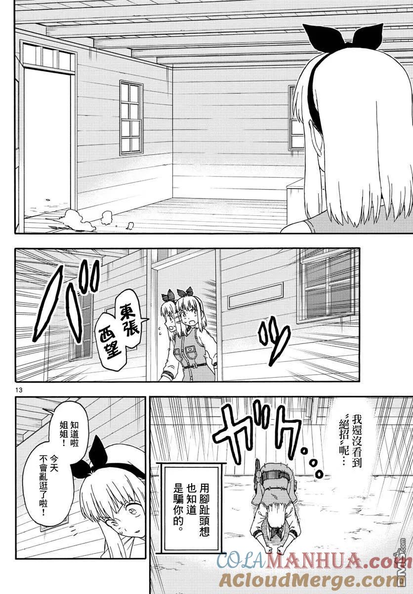 第13页